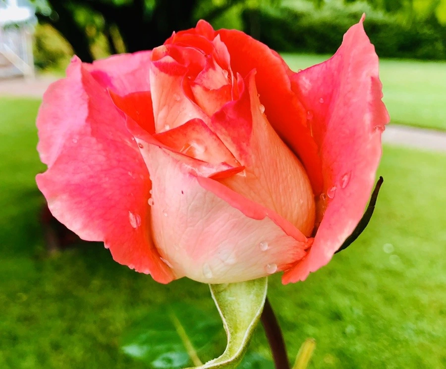 _pO1zC3Ngv1NN6KZnrD7FSNby8c