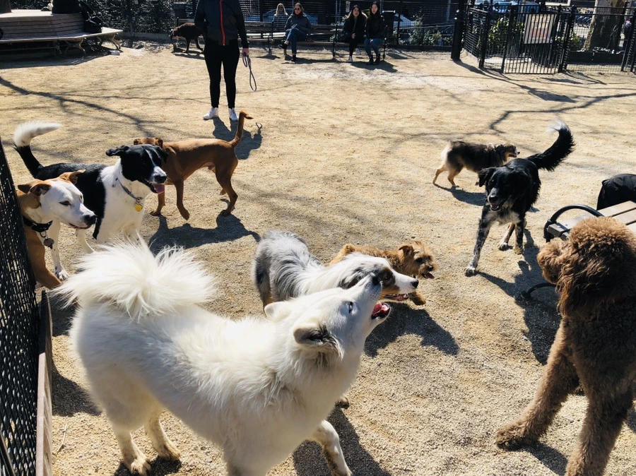 IMG_0655.jpg?type=w966