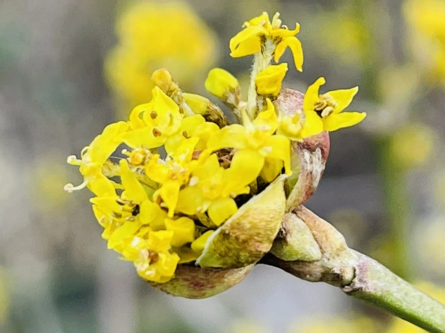 IMG_5381.jpg?type=w966