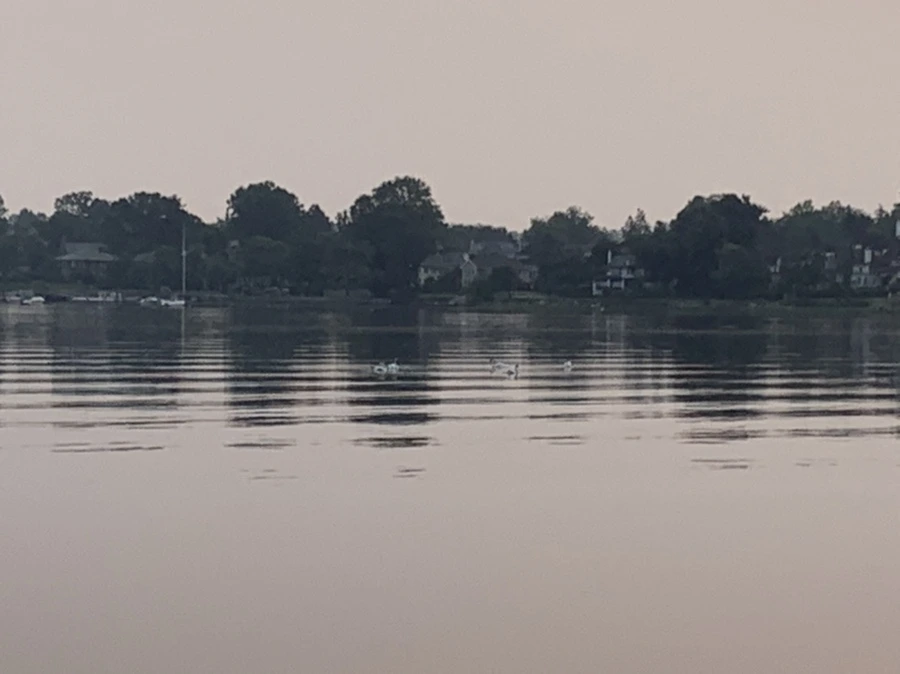 IMG_8232.jpg?type=w966