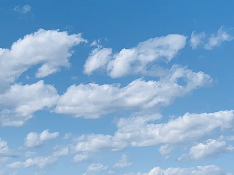 IMG_4555.jpg?type=w966