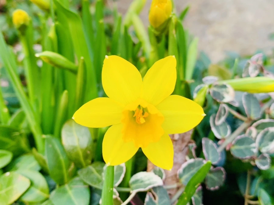 IMG_2719.jpg?type=w966