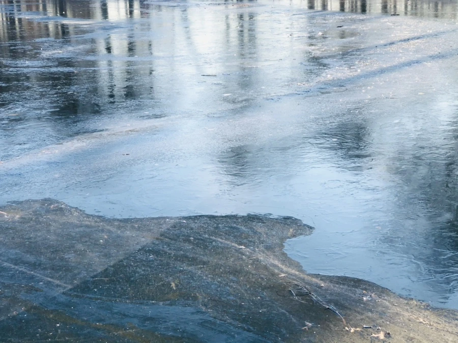 IMG_2235.jpg?type=w966