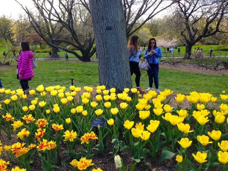 IMG_5186.JPG?type=w1