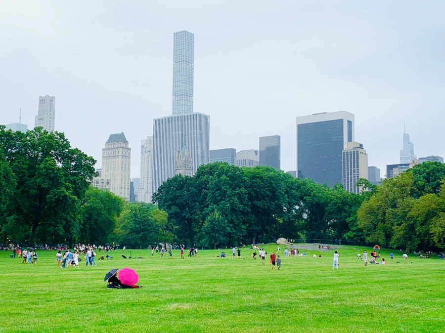 IMG_3337.jpg?type=w966