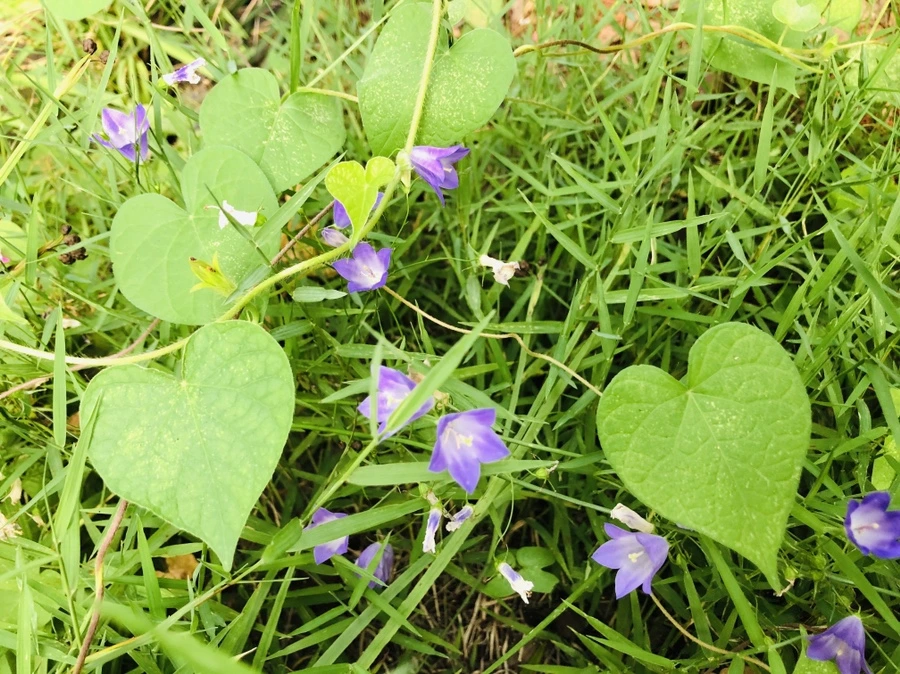 IMG_4002.jpg?type=w966