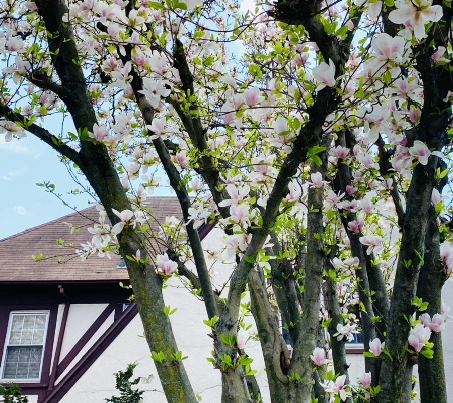 IMG_3876.jpg?type=w966