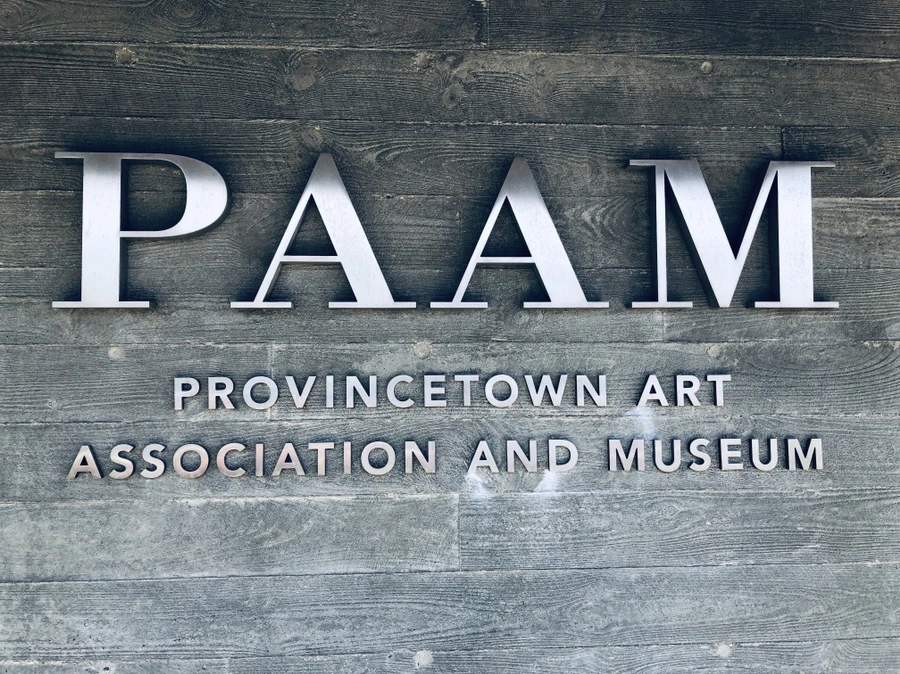 IMG_5065.jpg?type=w966