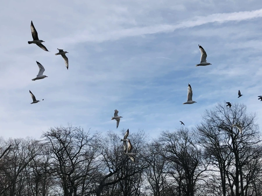 IMG_5712.jpg?type=w966