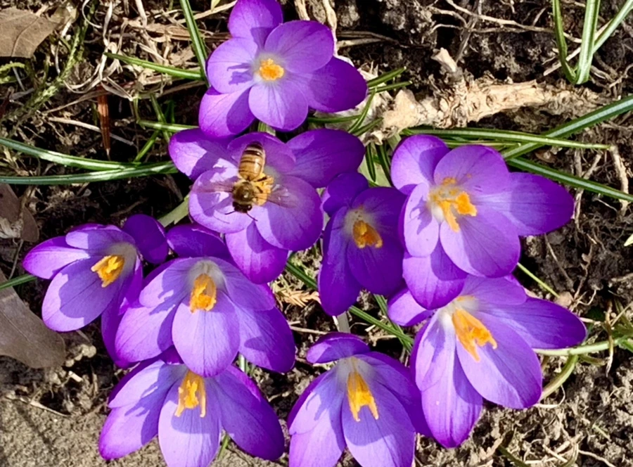 IMG_0271.jpg?type=w966