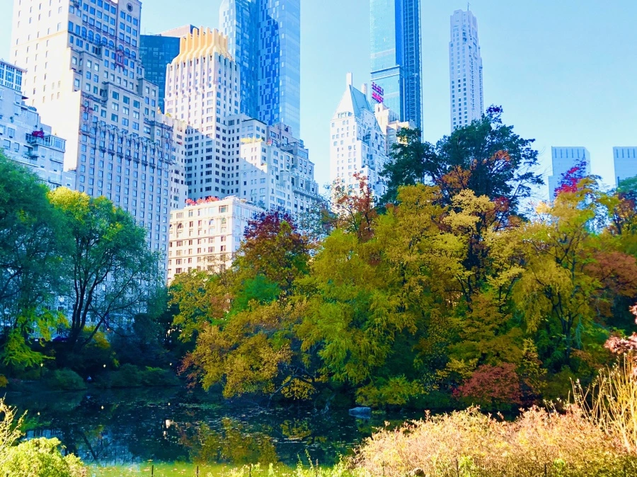 IMG_3767.jpg?type=w966