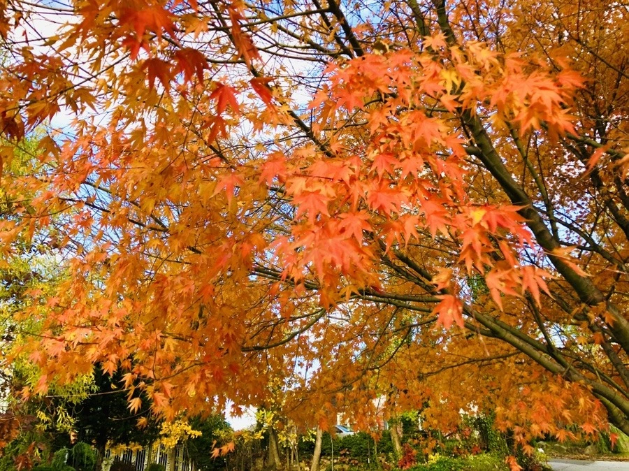 UbJmuQ1DkmXWiW4q1zb3K7TFlwM