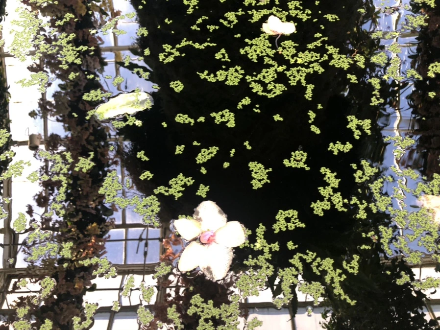 IMG_6289.jpg?type=w966