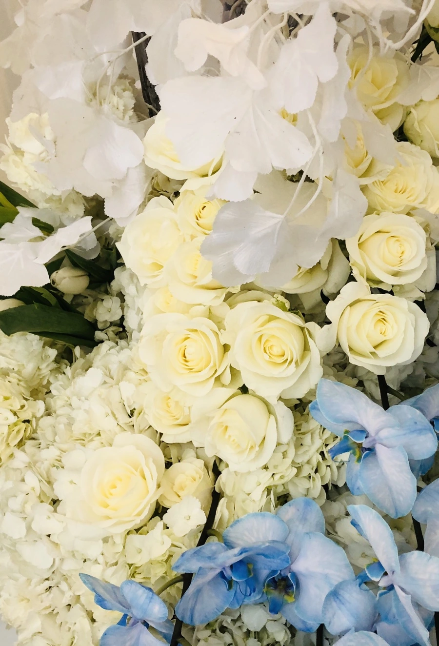 IMG_5587.jpg?type=w966