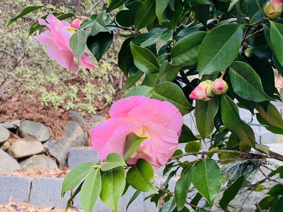 IMG_6407.jpg?type=w966