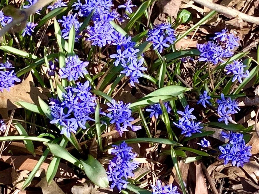 IMG_5627.jpg?type=w966