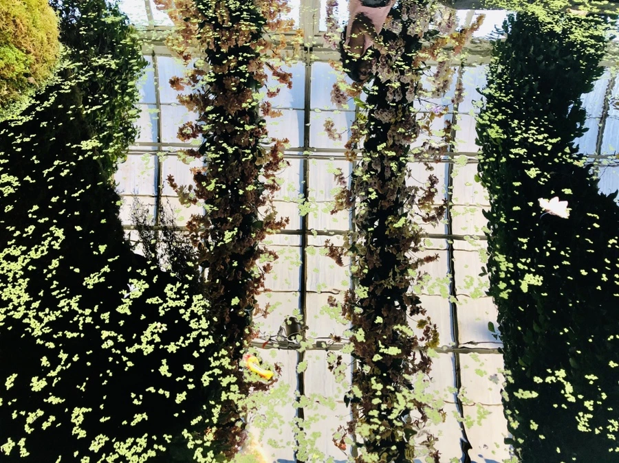 IMG_6306.jpg?type=w966