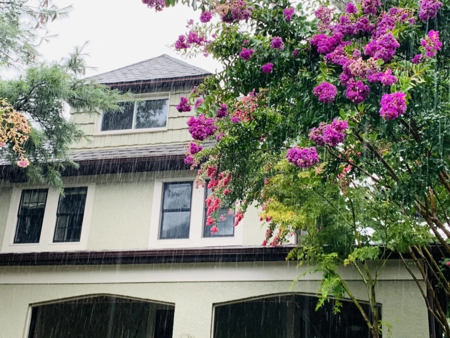 IMG_3808.jpg?type=w966