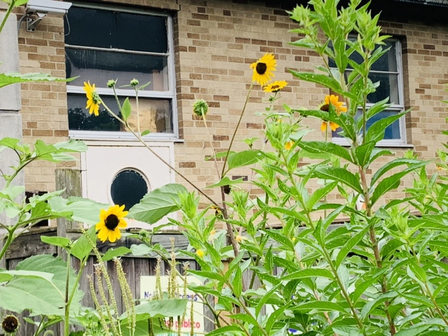 IMG_1058.jpg?type=w966