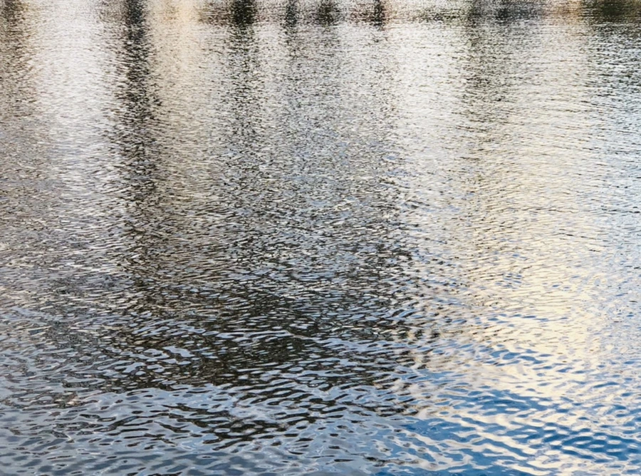 IMG_4416.jpg?type=w966