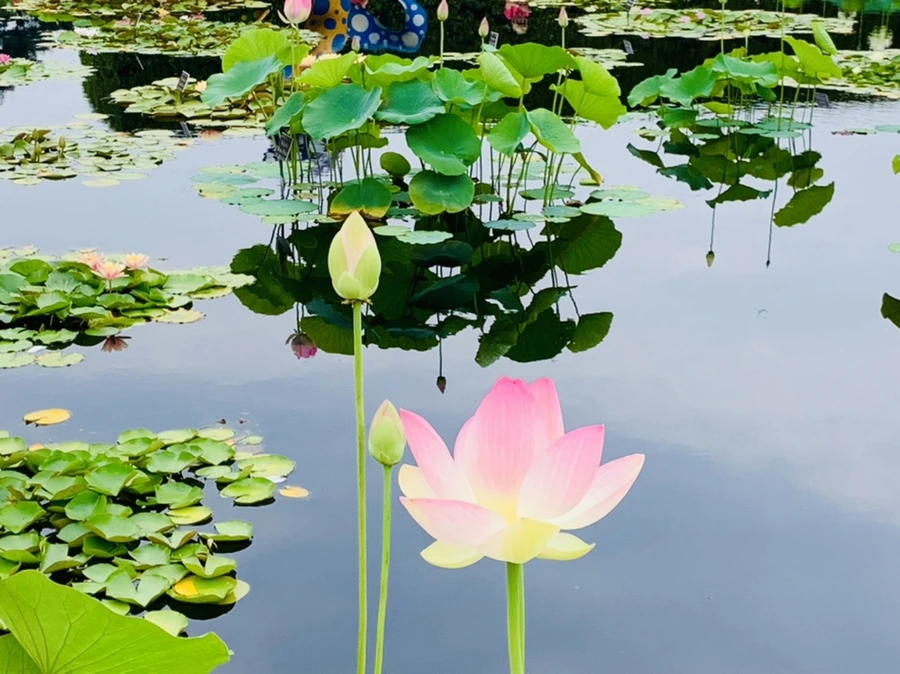 IMG_2555.jpg?type=w966