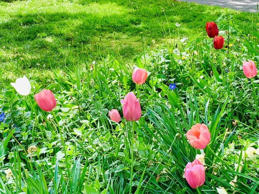 IMG_1387.jpg?type=w966