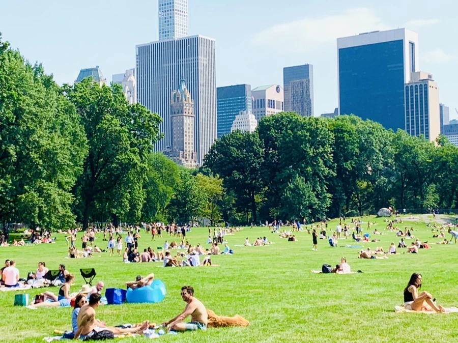 IMG_0602.jpg?type=w966