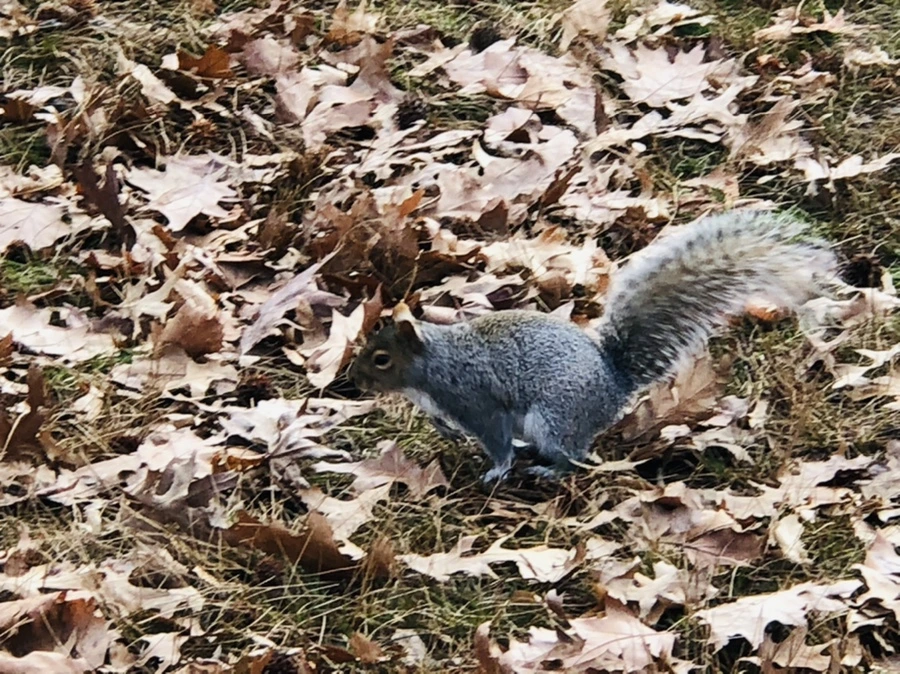 IMG_9933.jpg?type=w966