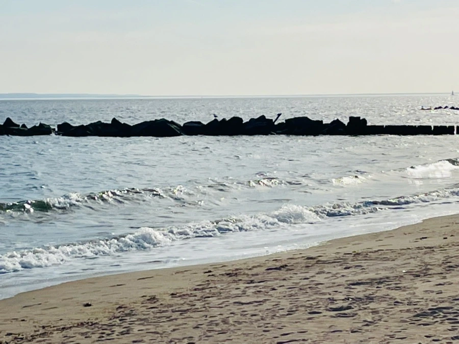 IMG_5075.jpg?type=w966