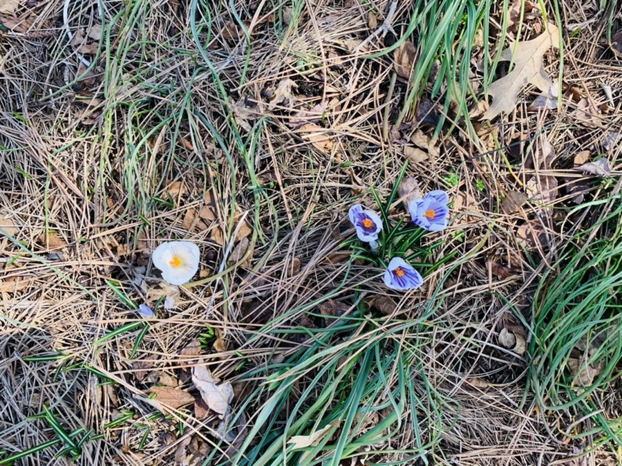 IMG_2973.jpg?type=w966