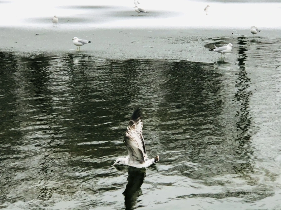 IMG_6304.jpg?type=w966