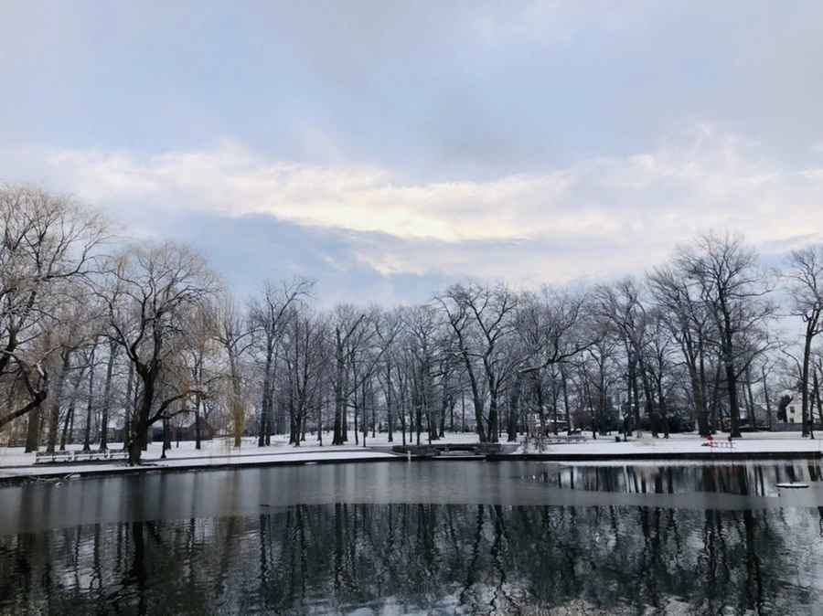 IMG_4521.jpg?type=w966