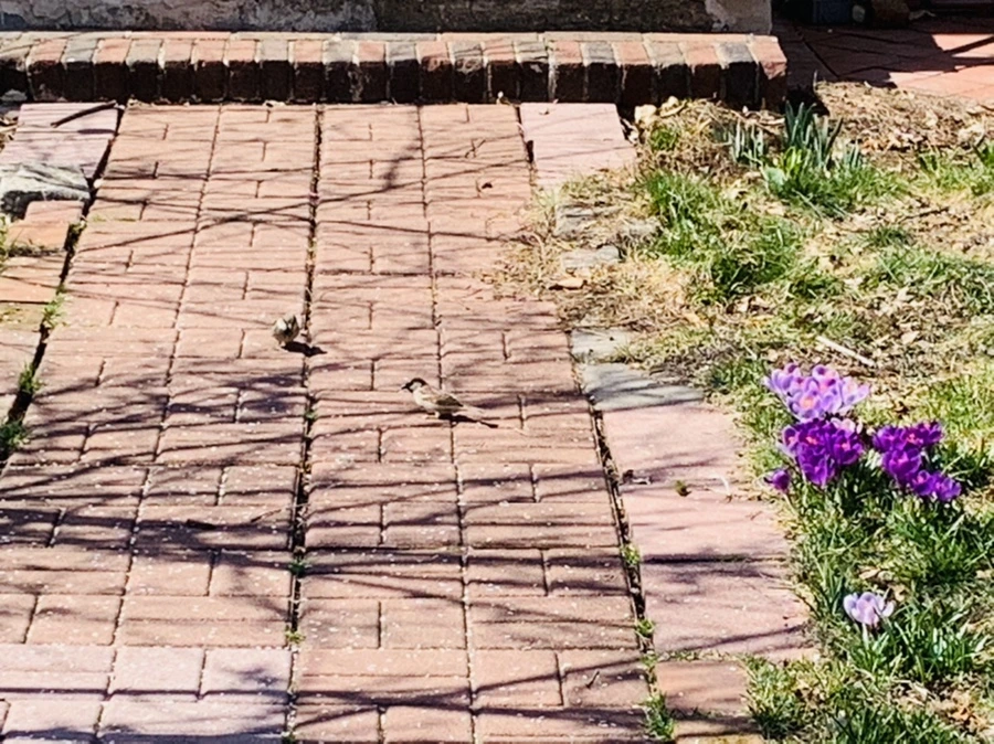 IMG_2911.jpg?type=w966