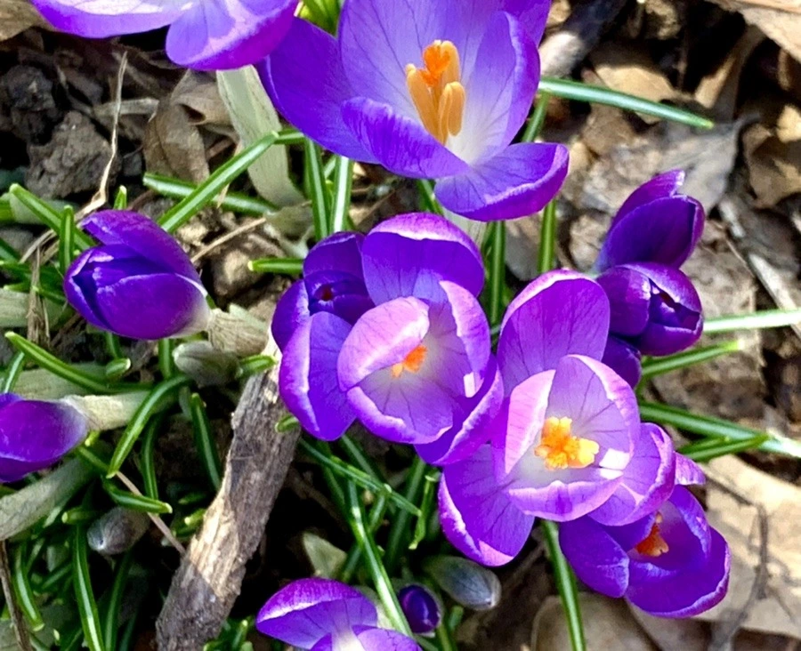 uXnVfeNTs6nXJ9c5hHvJjLeypH8