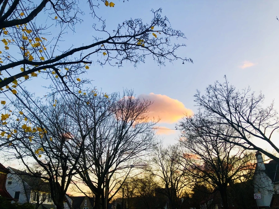 IMG_5829.jpg?type=w966