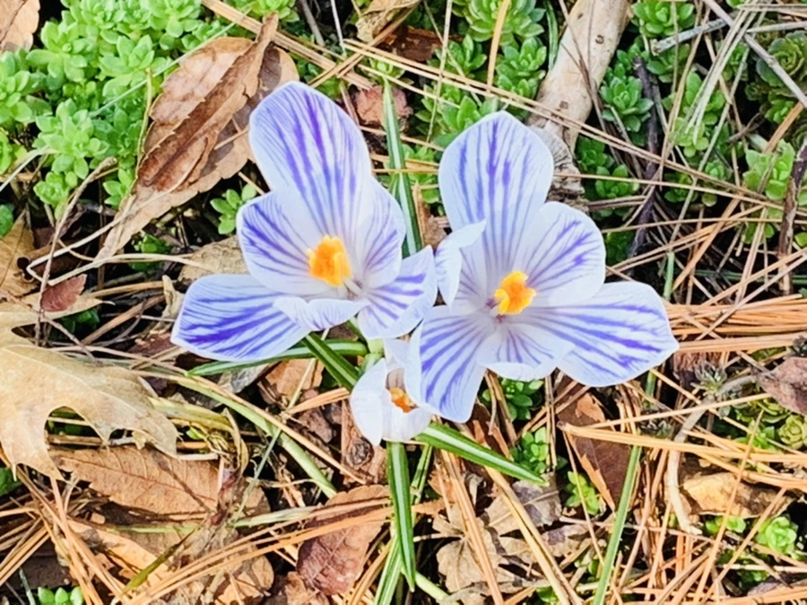 IMG_4382.jpg?type=w966