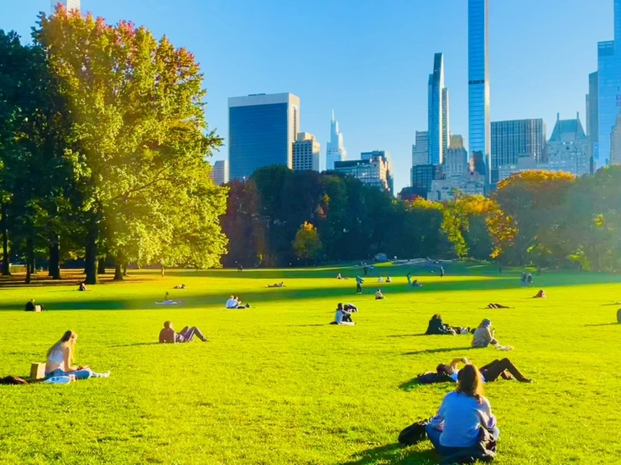 IMG_1370.jpg?type=w966