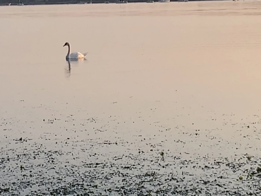 IMG_9630.jpg?type=w966