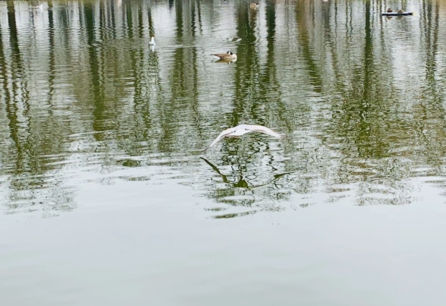 IMG_3850.jpg?type=w966