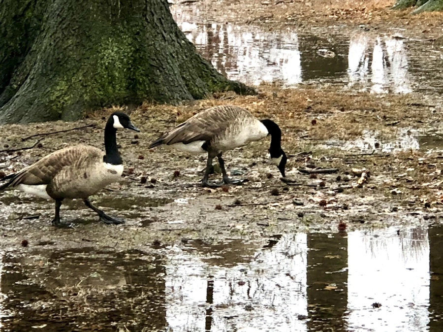 IMG_5649.jpg?type=w966