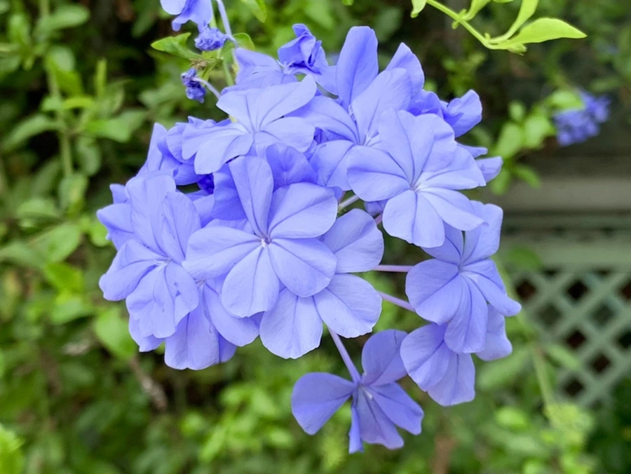 IMG_9449.jpg?type=w966