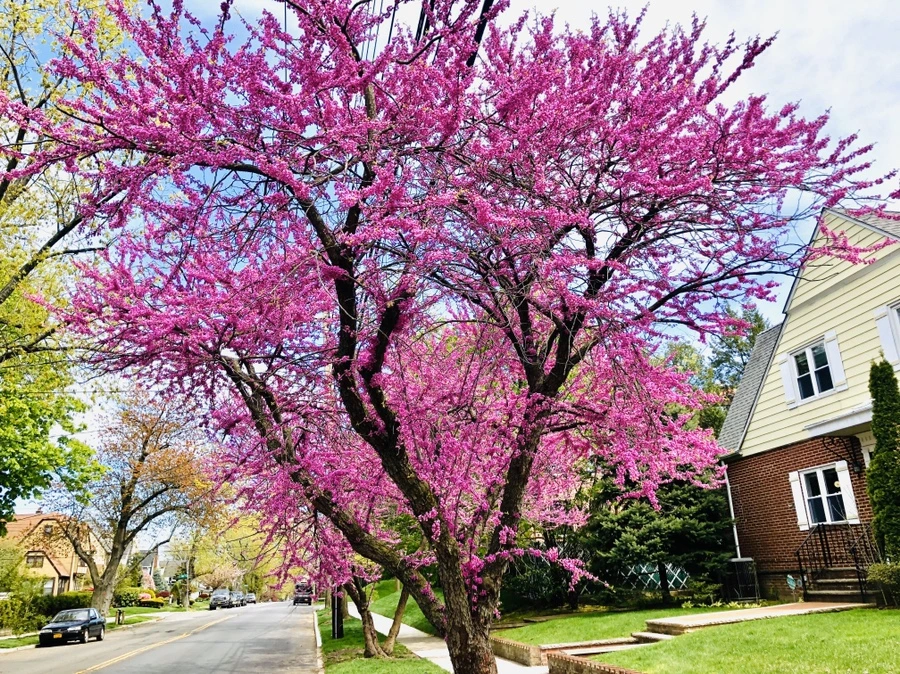 IMG_7232.jpg?type=w966