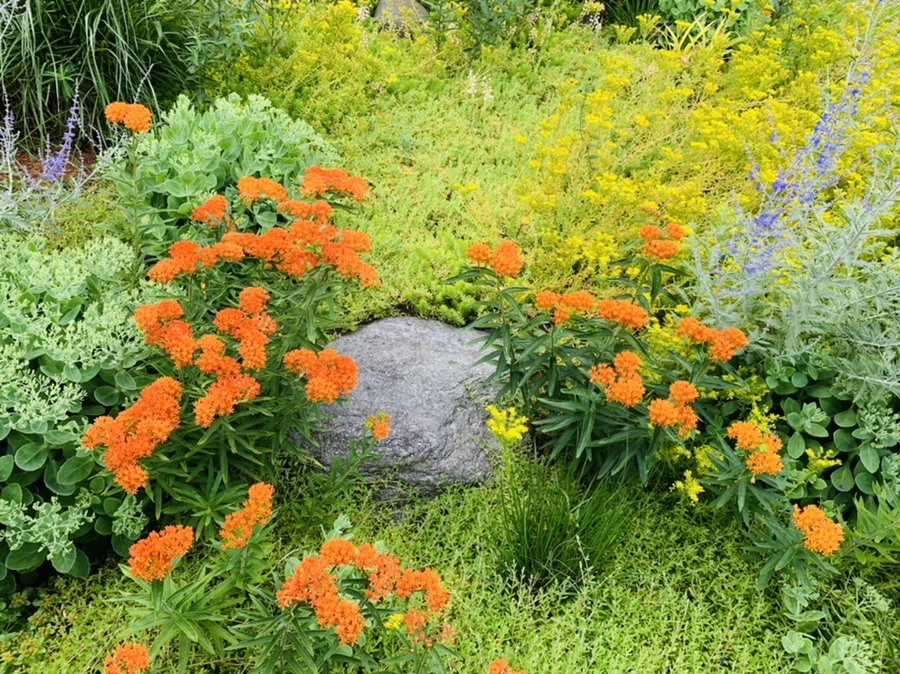 IMG_7218.jpg?type=w966