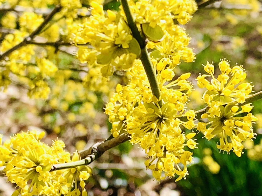 IMG_5691.jpg?type=w966