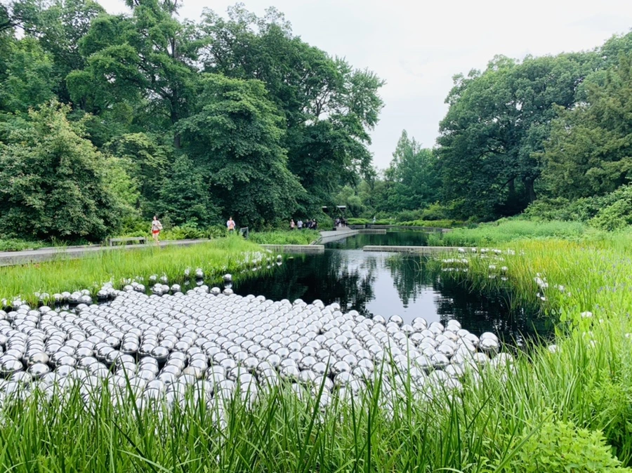 IMG_2670.jpg?type=w966