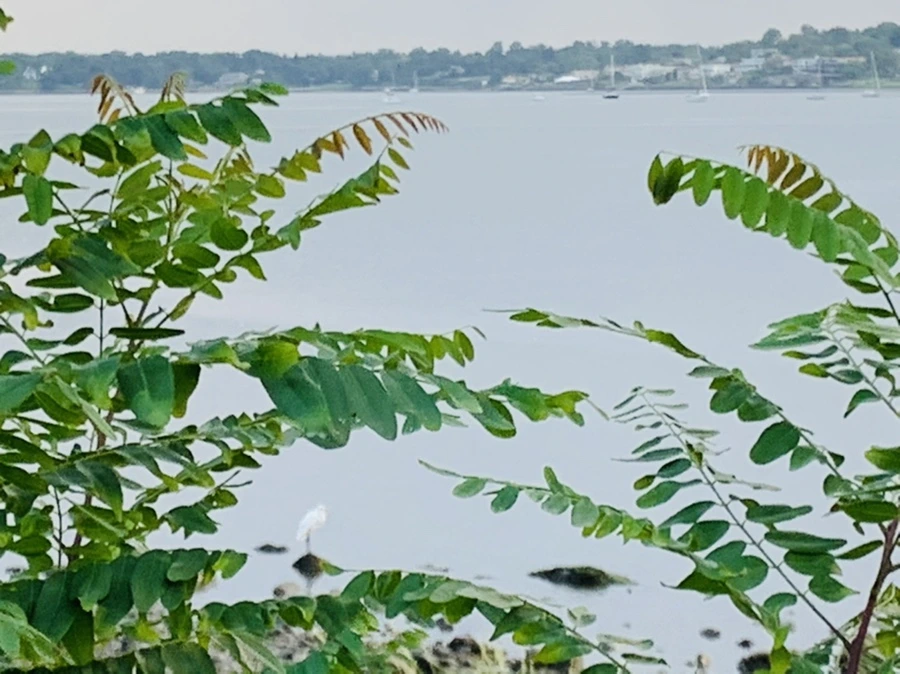 IMG_0656.jpg?type=w966