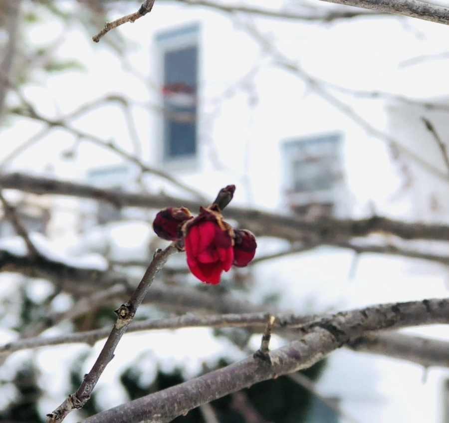 VHpABuWsJaEzCznSFEaW7o4oK5c