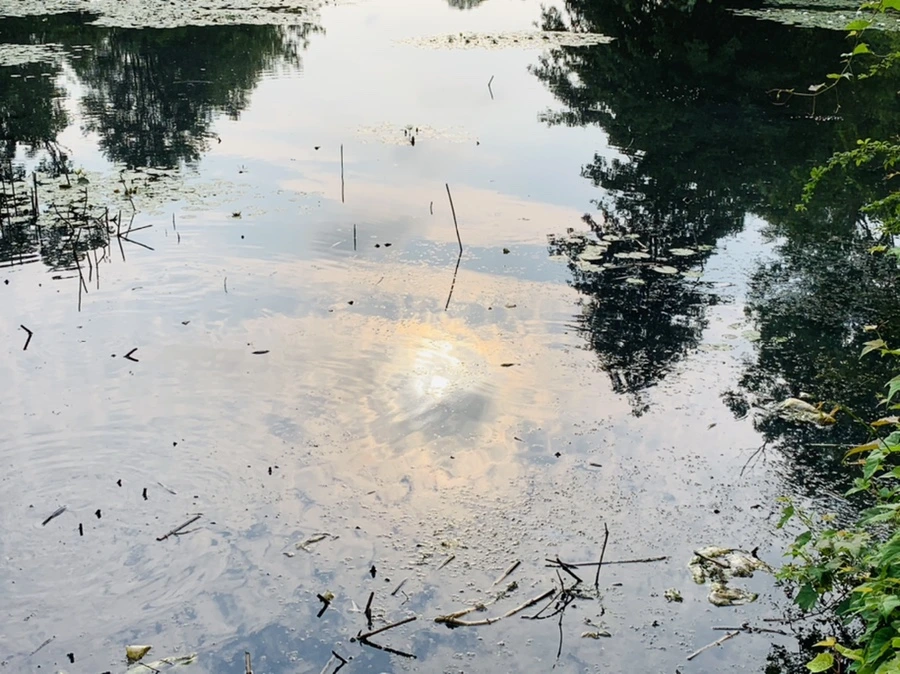 IMG_2310.jpg?type=w966