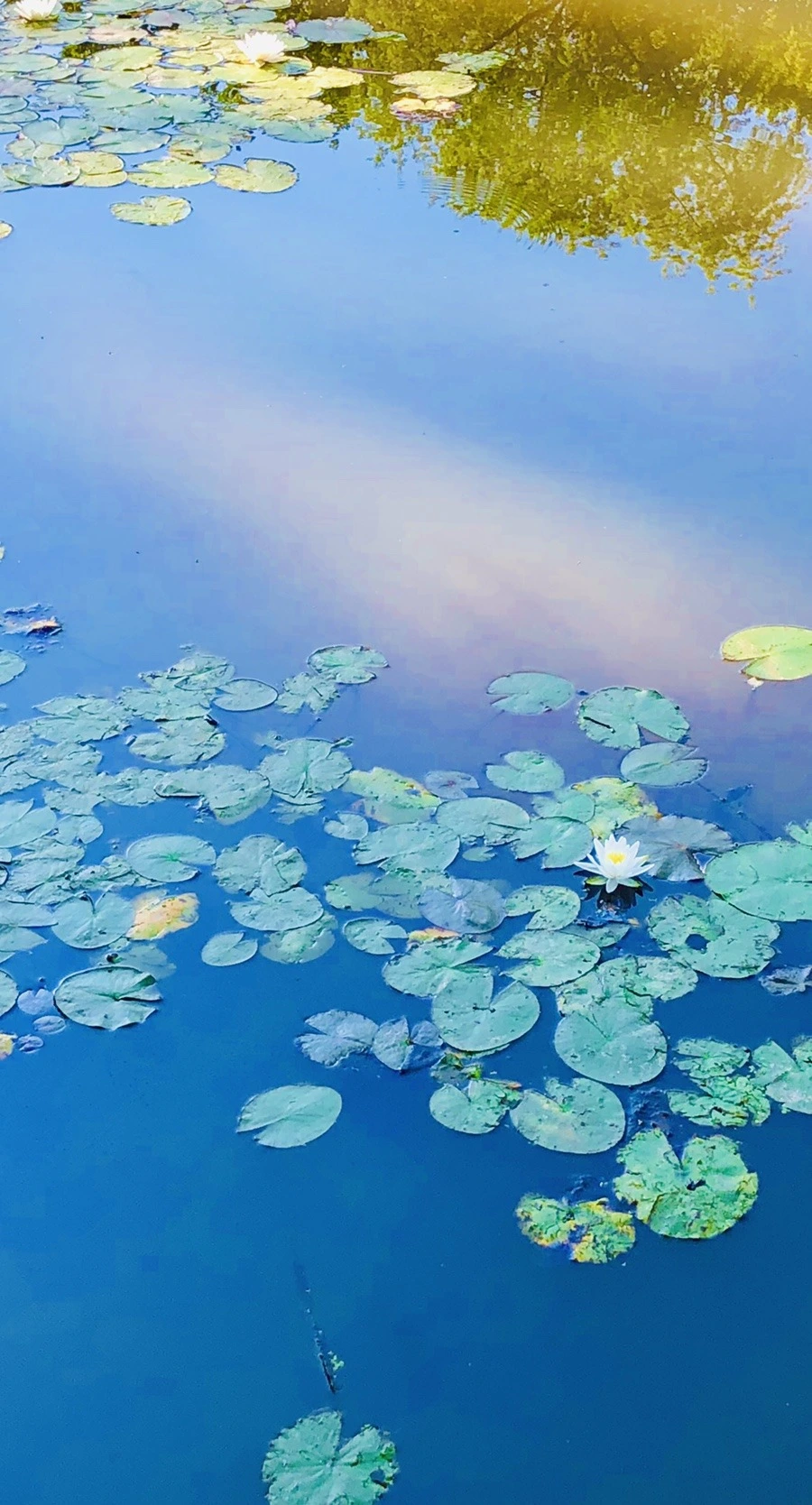 IU7cKT1x-TLLSB7QitABAo4HicI