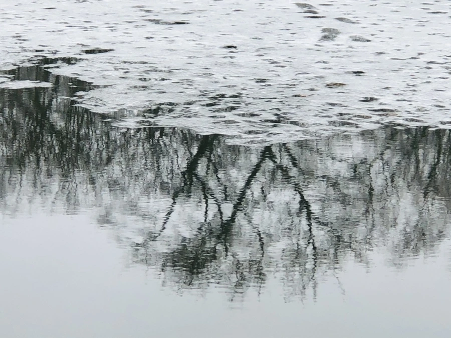 IMG_5494.jpg?type=w966